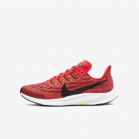 nike pegasus 35 infantil